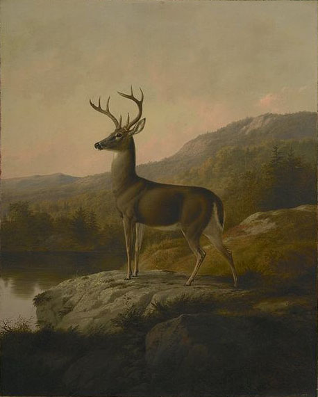 unknow artist Deer